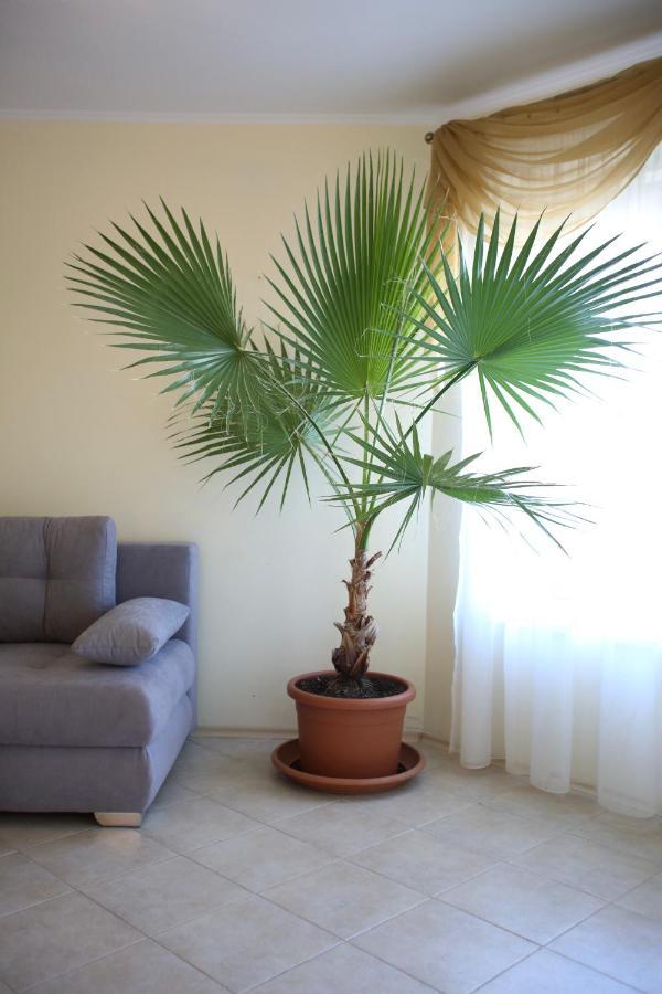 Villa Livia Boutique Apartments Ravda Dış mekan fotoğraf